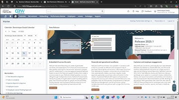 Easily identify and assign permissions to custom roles on netsuite