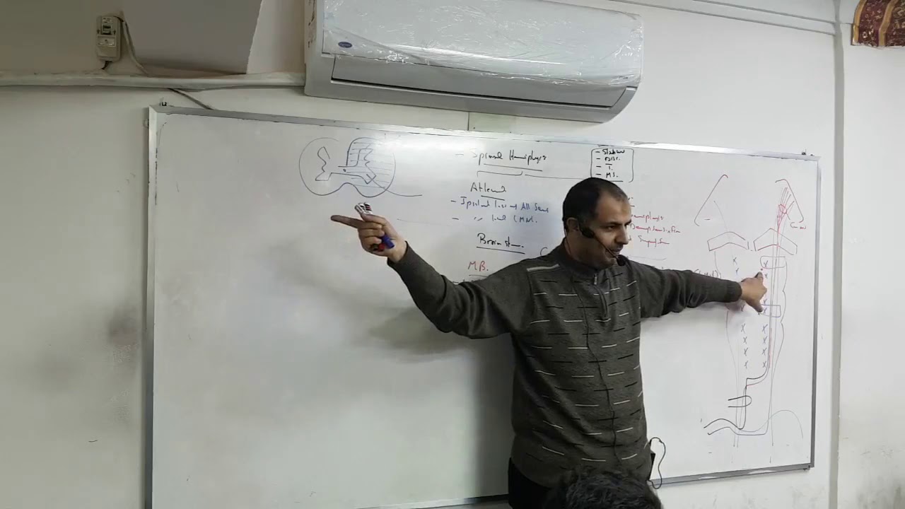 (Theoritical) Allam- Neuro 3 (Hemiplegia & TIAs)