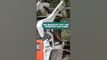 Total destruction! Forestry mulcher cleared way for garage build. #shorts #destruction