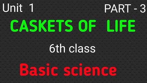 Basic science | Part 3 | caskets of life | 6th class |