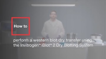 Western Blot Transfer Protocol with Invitrogen iBlot 2 System