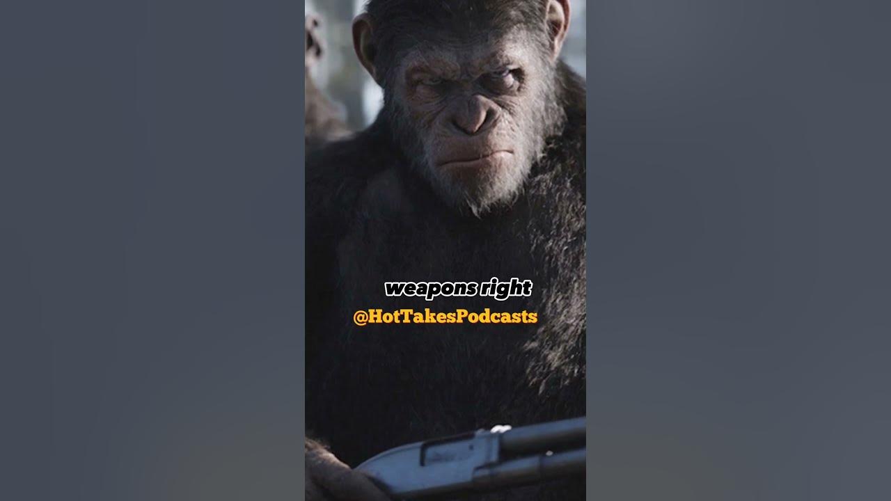 Joe Rogan on Evolving Chimps #joerogan #podcast - YouTube