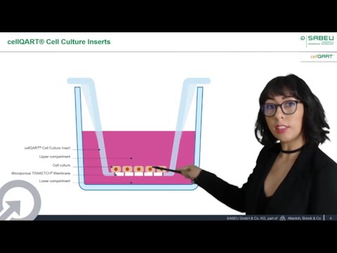 Introduction to Cell Culture Inserts – cellQART® at ASCCT 10th annual meeting