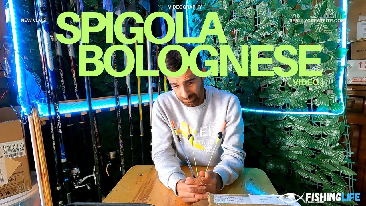 Pesca bolognese e bigattino alla spigola guida consigli lenze tutorial per le nostre spigole