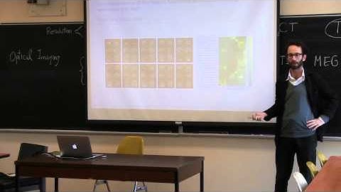 Critical Neuroscience #4 Resting State - The Question of Baseline