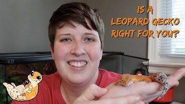 5 THINGS TO KNOW BEFORE GETTING A LEOPARD GECKO