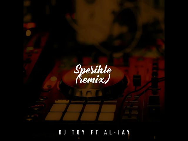 Spesihle(DJ TOY ft AL-JAY Remix)2024 class=