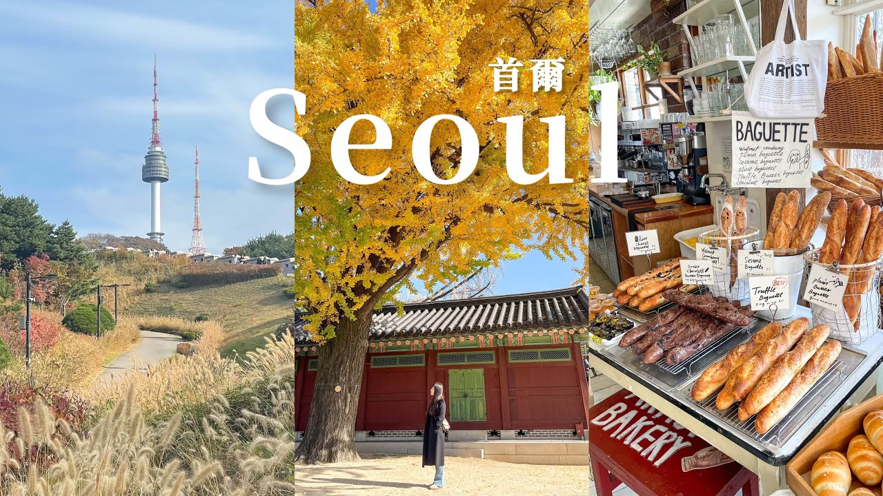 🇰🇷首爾7日自由行vlog｜美食、咖啡廳推薦☕️｜第一次韓國醫美、霧眉👩🏻｜景福宮、昌德宮秘苑🍁｜春川南怡島、江華島luge🏎️｜首爾包車資訊