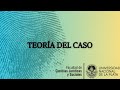 TEORÍA DEL CASO