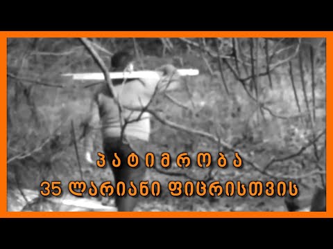 პატიმრობა 35 ლარიანი ფიცრისთვის