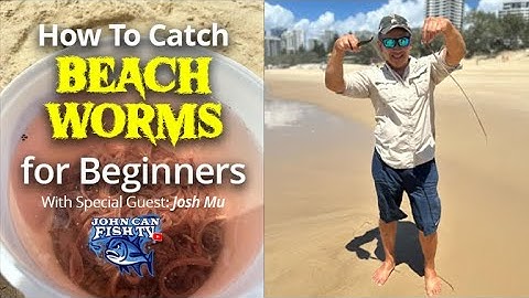 Catching Beach Worms for Beginners