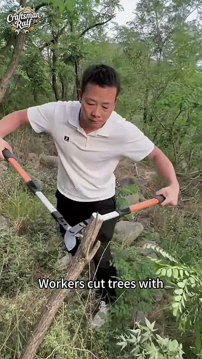 Workers cut trees with gear assisted branch shears