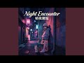 Night Encounter(暗夜邂逅)