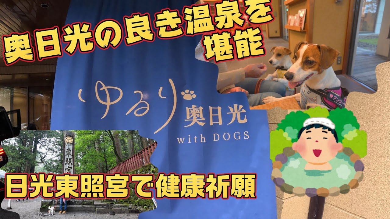 【わんこと旅行】ゆるり奥日光 　２０２５年４月リニューアルオープン奥日光の素敵なお宿