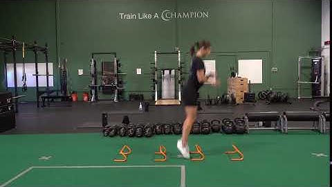 Double Leg Hurdle Forward Jumps with Sticks