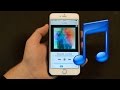 Скачать музыку на iPhone бесплатно
