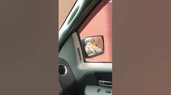F150 tick sound when accelerating... Please help!!