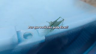 Rhye - The Fall (Tradução) | OiSouOVinny