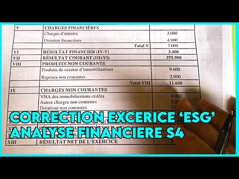 Module Analyse Financière s4 "Correction Exercice ESG "