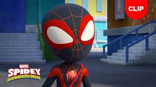 ¡Ay, no, tomates! | Clip | Spidey y sus Sorprendentes Amigos