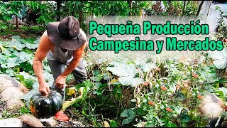 PRODUCCION AGRICOLA CAMPESINA Y MERCADOS