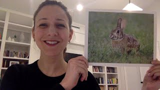 Stimola Live!: Animal Character Creative Writing Workshop with author Elaine Dimopoulos! (ages 8+)