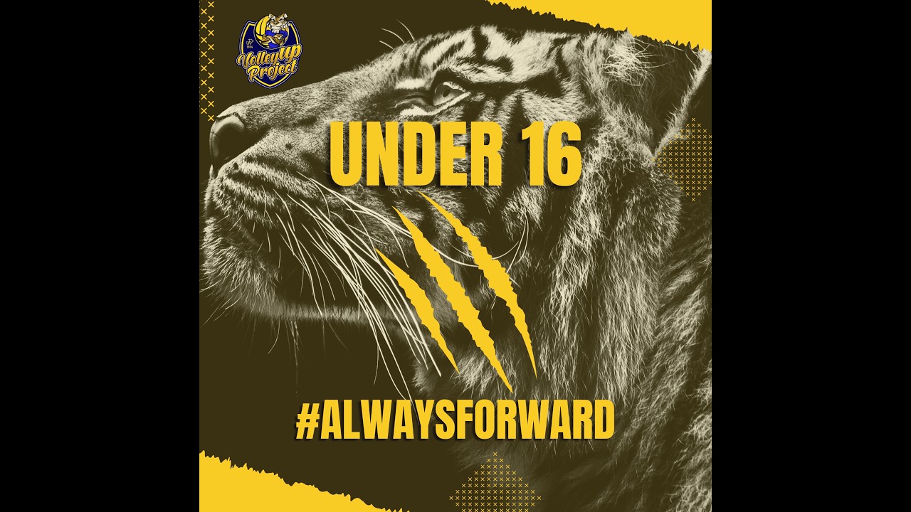 Under 16🔸VTL VERDE vs ALEMATIC BUGGIANO