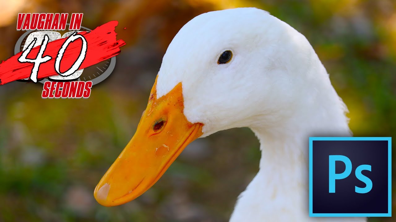 Photoshop | Select Focus Area