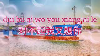 Download Lagu Dui Bu Qi Wo You Xiang Ni Le [Maaf Saya Masih Merindukan Kamu] (Phingin/TerjemahanIndonesia) MP3