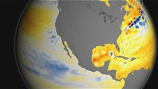 Спутник НАСА заснял повышение уровня мирового океана (новости)