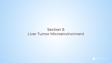 Section 3: Tumor Microenvironment