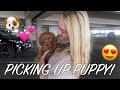 PICKING UP OUR PUPPY || Meeting our puppy for the first time.