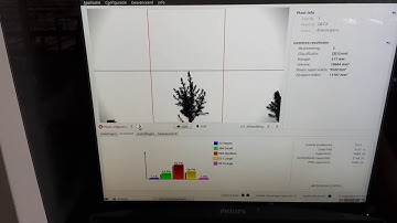 Aris Vision System - Grading pine trees at high speed
