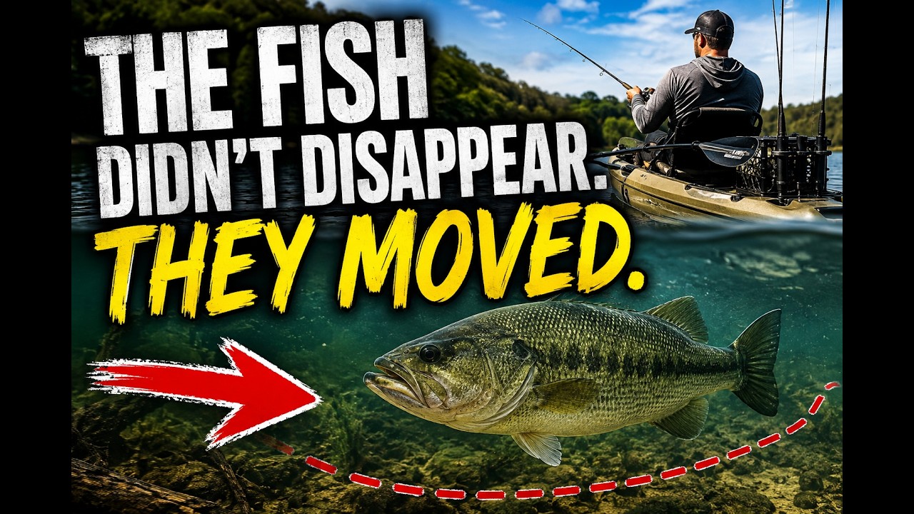 The Fish Didn't Disappear… They Moved | Bass Fishing