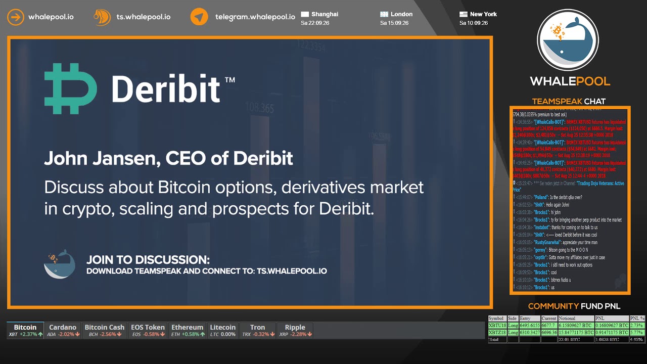 WhalePool Interview: Deribit CEO John Jansen introduces new Perpetual Swap  Contracts aug/2018 - YouTube