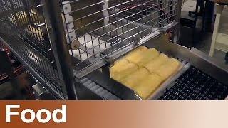 Trays of Corn (Overview)