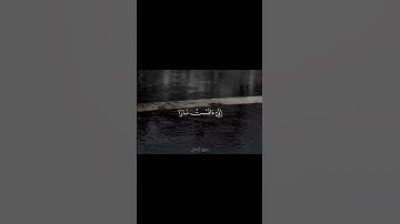 قرآن كريم #قرآن #المنشاوي #سورة_القصص