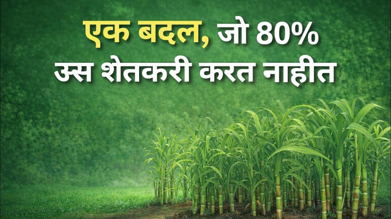 एक बदल जो 80% ऊस शेतकरी करत नाहीत – पण उत्पादनात फरक पडतो