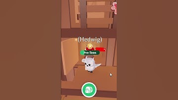 Adopt Me Christmas Update Advent Calendar Day 15 #shorts #roblox #adoptme #christmas #viral