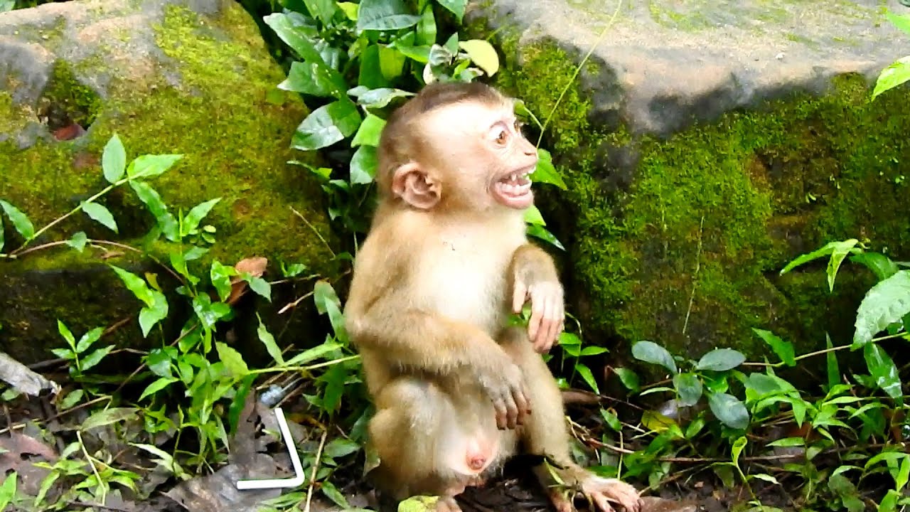 Baby Alex cry immediately because he is really scared after Pretty start to chase him