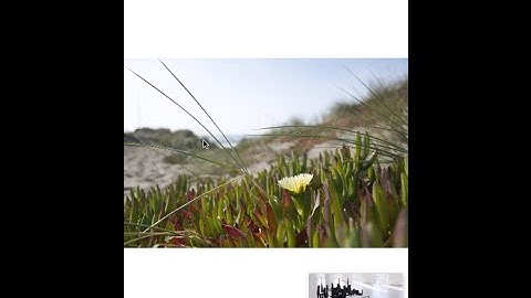 swift Video Tutorial 3: Play video in background using xcode. Multitasking (PIP)