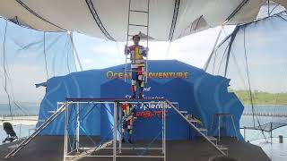 ACROBAT SHOW | Dino Splendid Acrobats | Ocean Adventure