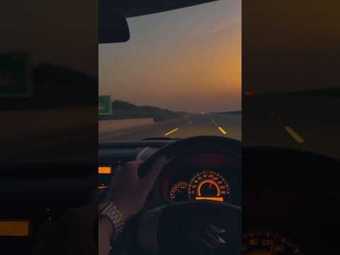 تامر عاشور غيبة الحبايب ستوريات Shorts