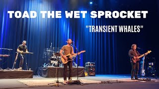 Transient Whales -- Toad the Wet Sprocket | Live at the Redondo Beach Performing Arts Center