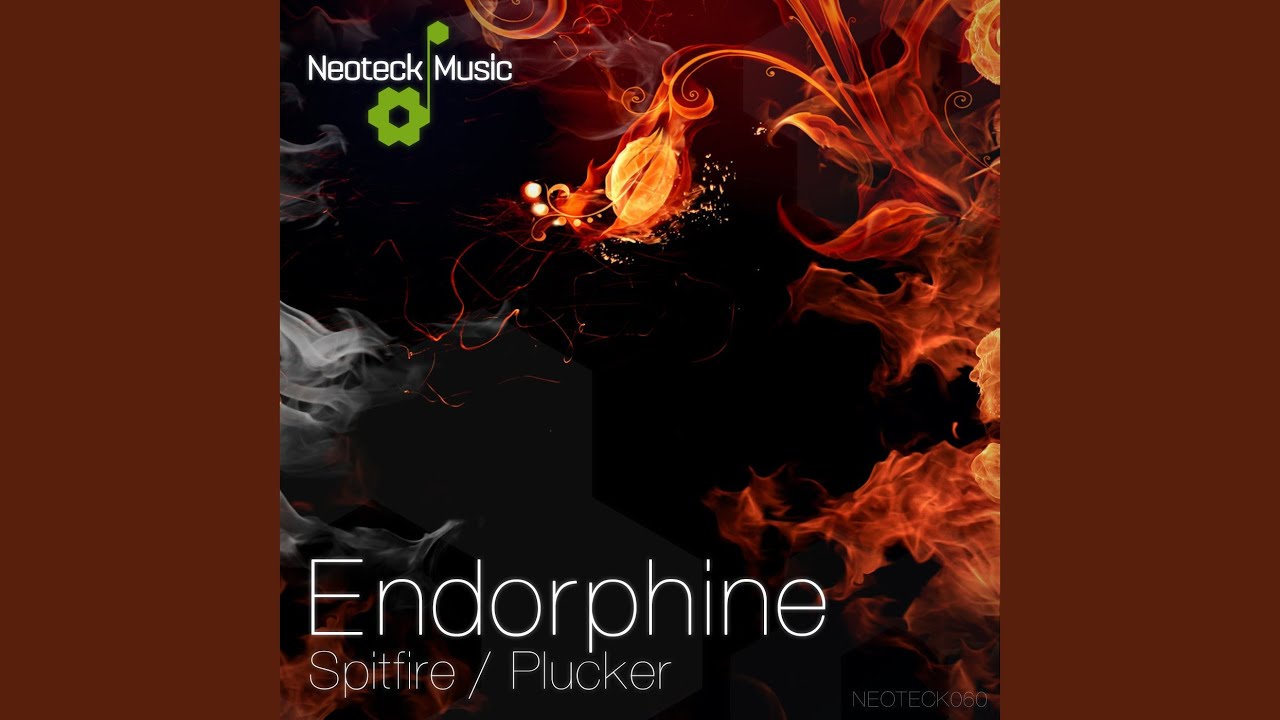 Watch Spitfire (Original Mix) on YouTube Watch Spitfire (Original Mix) on YouTube
