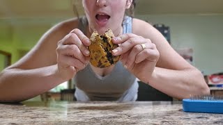 Trying Amish Cookies