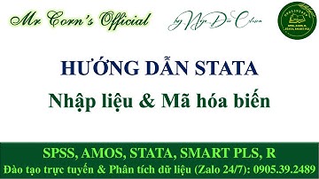 HƯỚNG DẪN STATA | Nhập liệu & Mã hóa biến 01112025 | NGÔ ĐỨC CHIẾN 0905392489