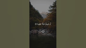 والله يريد أن يتوب عليكم #ياسر_الدوسري #سورة_النساء #قران #قران_كريم #quran #قرآن