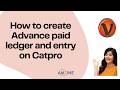 Topic- 101. How to create Advance Paid ledger and entry on Visual Catpro #Education #AmzineInstitute