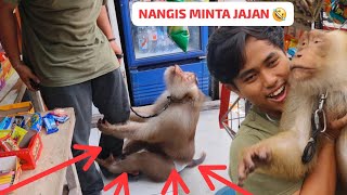 Download Lagu PART 2 || PAGI PAGI DIRUMAH BARU MAS HAFIZH‼️ MP3 Download Lagu PART 2 || PAGI PAGI DIRUMAH BARU MAS HAFIZH‼️ MP3